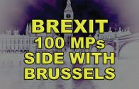 Over-100-MPs-openly-side-with-Brussels
