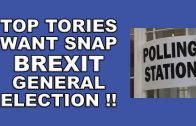 Top-Tories-Call-for-snap-Brexit-General-Election