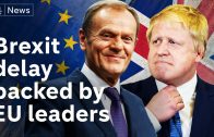 EU leaders back Brexit delay